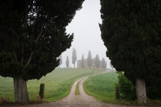 Il Ciprisini Morning