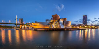 Tribute to Gehry V