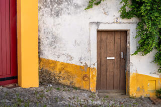 The Brown Door