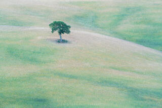 A Tuscan Pallete