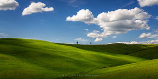 A Val d' Orcia Landscape