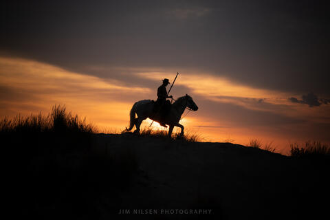 The Camargue Horse XVI