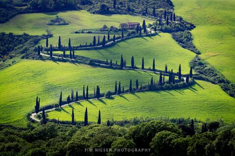 The View from La Foce