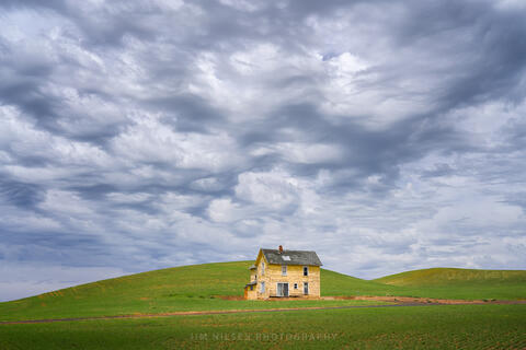 The Yellow House