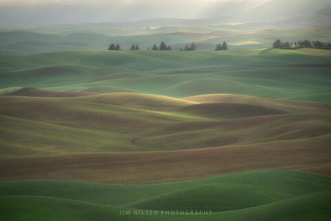 Light on the Land