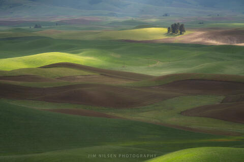 Palouse Morning