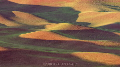 Emergence