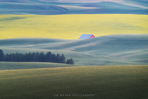 Deep in the Palouse