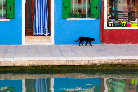 Il Gatto Nero