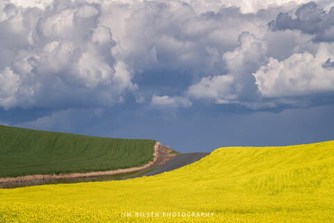 Green, Yellow & Blue
