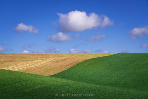 Palouse Afternoon