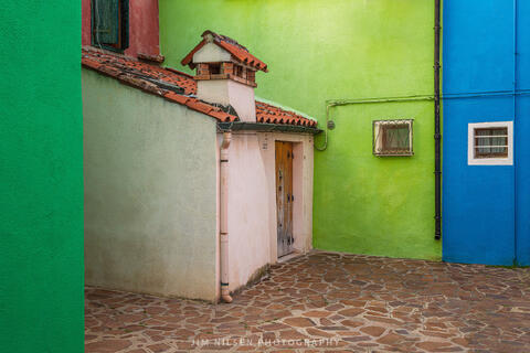 The Back Door