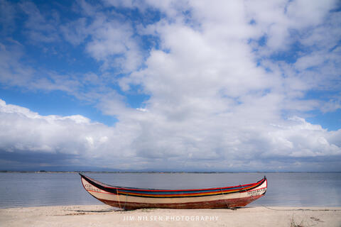 Beached