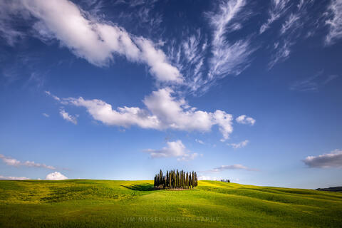 Cypress Cloud Show