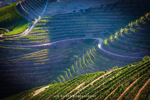 Deep in the Douro