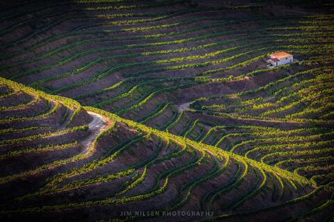 Deep in the Douro II