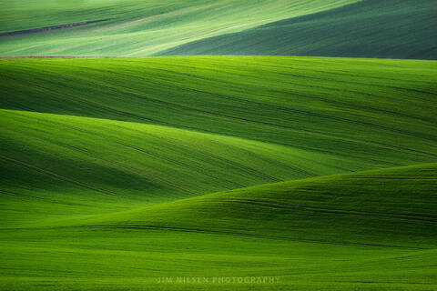 The Czech Republic