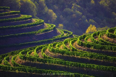 The Douro Valley, Portugal