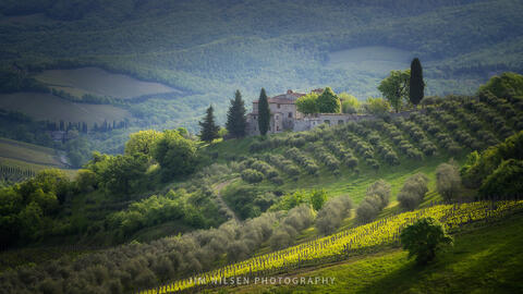 Chianti Morning