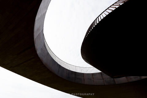 Antinori Study III