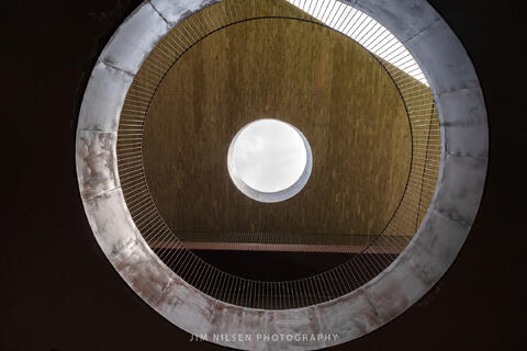 Antinori Study VIII