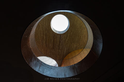 Antinori Study IX