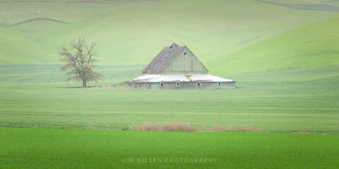 Vintage Palouse