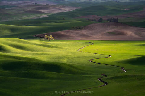 The Palouse