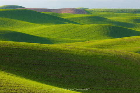 Palouse Velvet