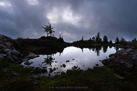 The Magic Tarn