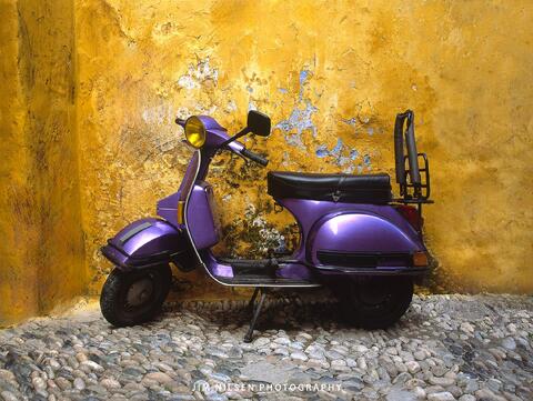 Purple & Gold