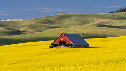 The Red Barn
