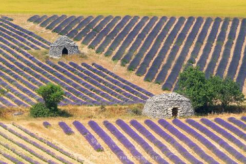 The Land of Bories