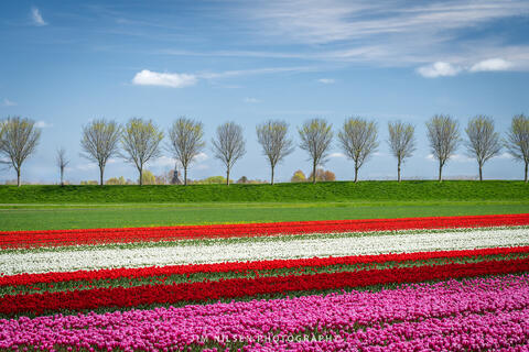 The Beemster, the Netherlands