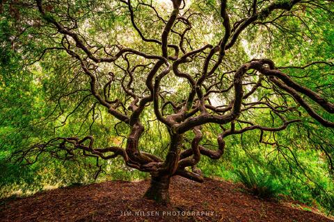 Twisted III