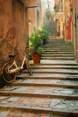 Monterosso Back Alley