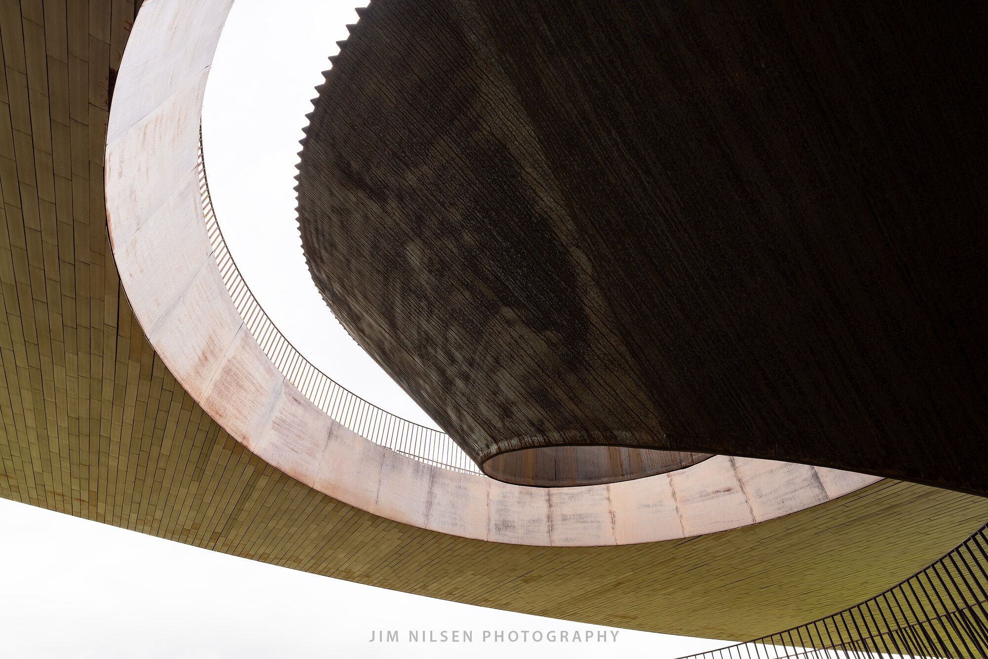 Antinori Study VI Antinori Study VI